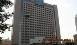 高邑最新新闻爆料